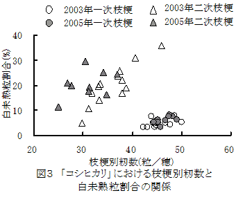 図3 「コシヒカリ」における枝梗別籾数と白未熟粒割合の関係