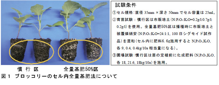 図１ ブロッコリーのセル内全量基肥法について