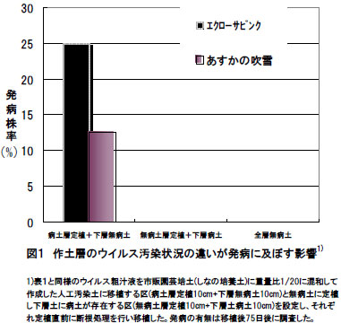 図１　作土層のウイルス汚染状況の違いが発病に及ぼす影響1)