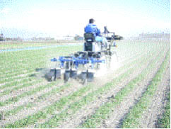 表１　３条中耕機の作業精度及び作業風景