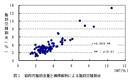 図１　筋肉内脂肪含量と画像解析による脂肪交雑割合
