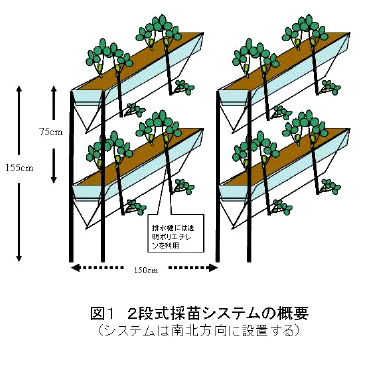 図１　２段式採苗システムの概要