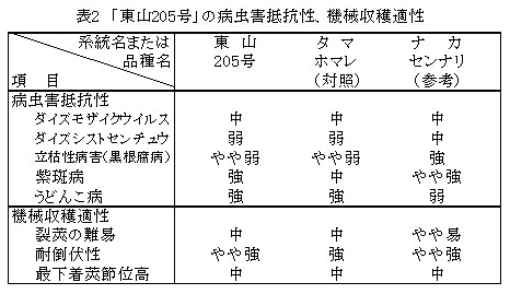 表2　「東山205号」の病虫害抵抗性、機械収穫適性