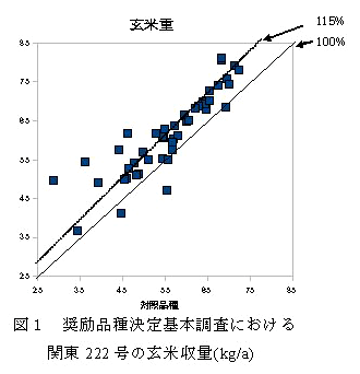 図１　奨励品種決定基本調査における関東222号の玄米収量(kg/a)

