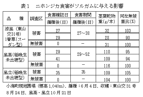 表１　ニホンジカ食害がソルガムに与える影響