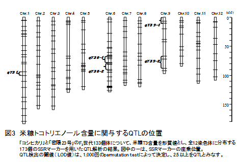 図３　米糠トコトリエノール含量に関与するQTLの位置