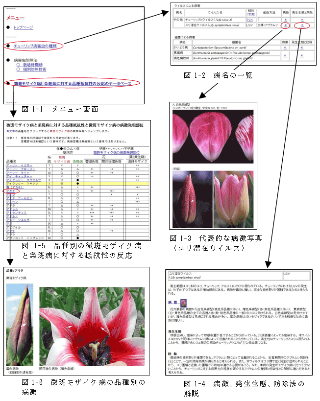 ウェブサイト全体図