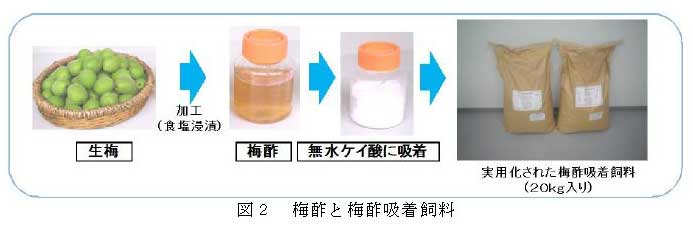 図２　梅酢と梅酢吸着飼料
