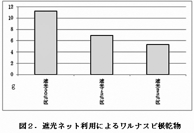 図2.遮光ネット利用によるワルナスビ根乾物