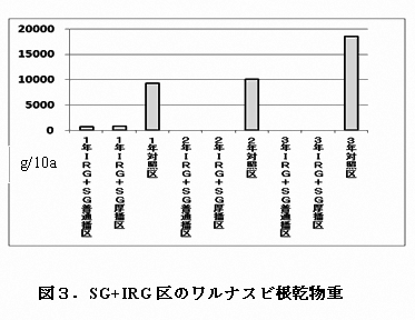 図3.SG+IRG区のワルナスビ根乾物重