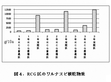 図4.RCG区のワルナスビ根乾物重