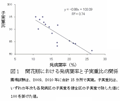 蝗ｳ・代髢玖干譛溘↓縺翫￠繧狗匱逞・痩邇・→蟄仙ｮ滄㍾豈斐・髢｢菫・ width=