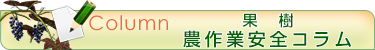 果樹のコラム