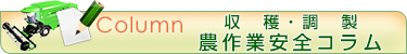 収穫・調製のコラム