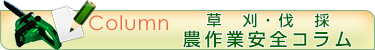 草刈・伐採のコラム