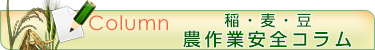 稲・麦・豆に関するコラム