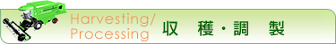 収穫・調製