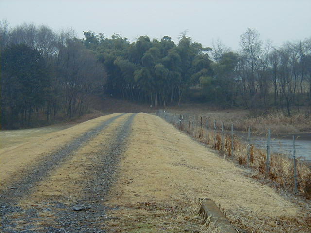 路肩