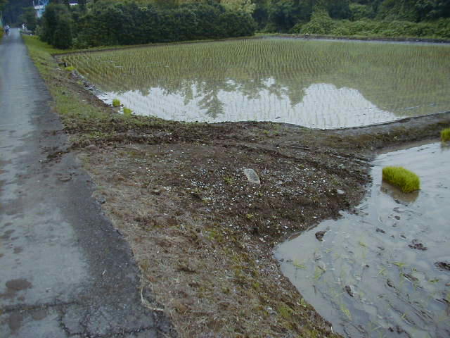 進入路