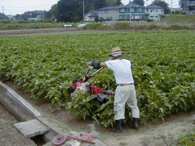旋回