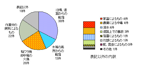 図９　事故原因別　＜農業機械・施設以外の事故＞