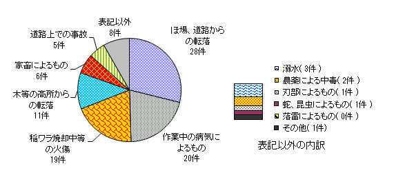 図９　事故原因別　＜農業機械・施設以外の事故＞