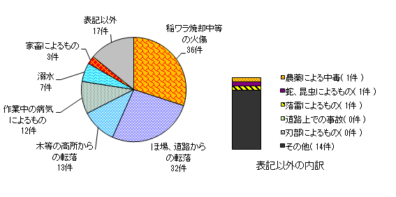 図９　事故原因別　＜農業機械・施設以外の事故＞