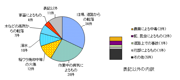図９　事故原因別　＜農業機械・施設以外の事故＞