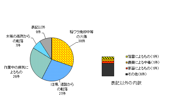 図９　事故原因別　＜農業機械・施設以外の事故＞