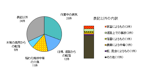 図９　事故原因別　＜農業機械・施設以外の事故＞