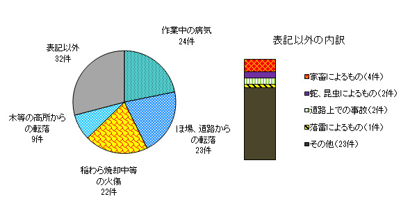 図９　事故原因別　＜農業機械・施設以外の事故＞