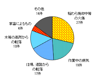 図９　事故原因別　＜農業機械・施設以外の事故＞