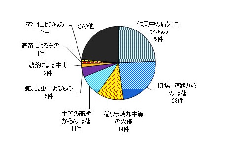 図９　事故原因別　＜農業機械・施設以外の事故＞