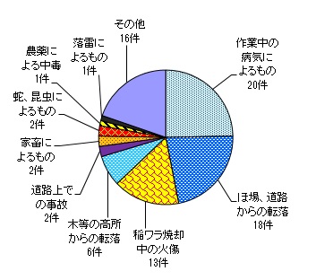 図９　事故原因別　＜農業機械・施設以外の事故＞