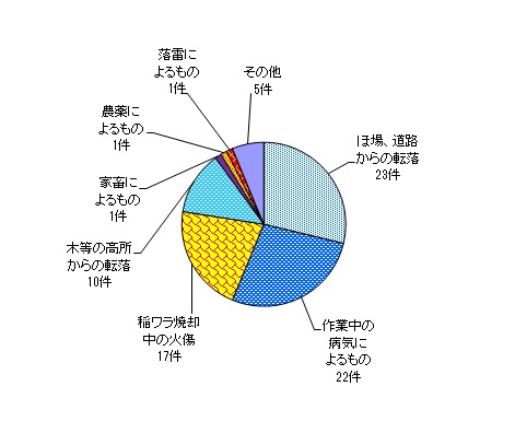 図９　事故原因別　＜農業機械・施設以外の事故＞