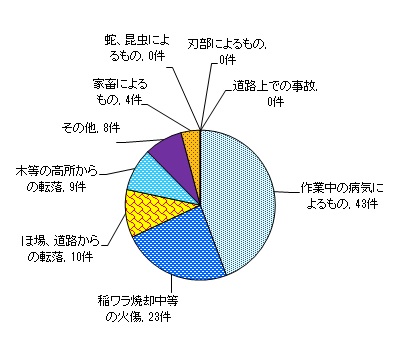 図９　事故原因別　＜農業機械・施設以外の事故＞