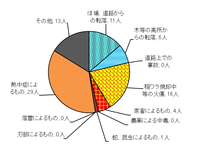 図９　原因別事故発生状況　＜農業機械・施設以外の事故＞