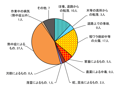 図１０　原因別事故発生状況　＜農業機械・施設以外の事故＞