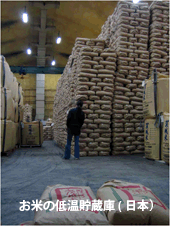 低温倉庫