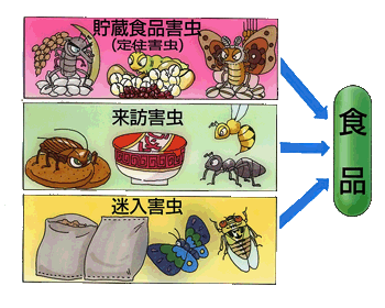 食品混入ルート