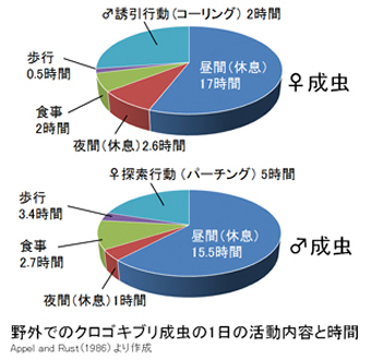 野外でのクロゴキブリ成虫の1日の活動内容と時間