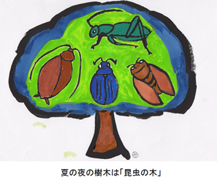 夏の夜の樹木は「昆虫の木」