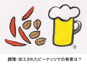 調理・加工されたピーナッツでの発育は？