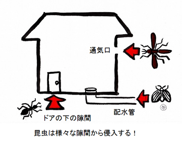 昆虫は様々な隙間から侵入する！