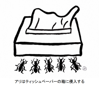 アリはティッシュペーパーの箱に侵入する