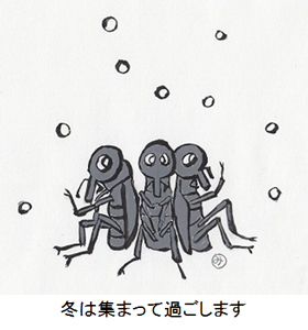 冬は集まって過ごします