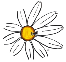 訪花し吸蜜したコクゾウムシは繁殖能力が高まります