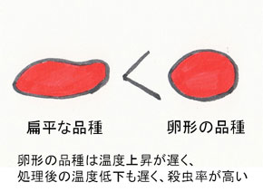 生果実の形と殺虫率