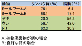 ミールワームと他の動物肉のたんぱく質と脂肪の量