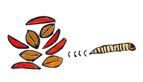 「ピーナッツ入り柿の種」と幼虫